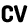 CV Icon
